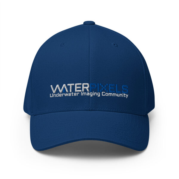 WpX Flexfit Structured Twill Cap - Image 3