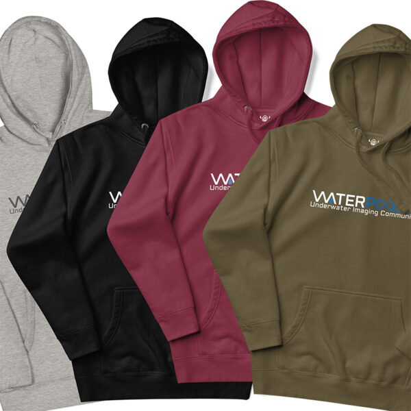 WpX Hoodie